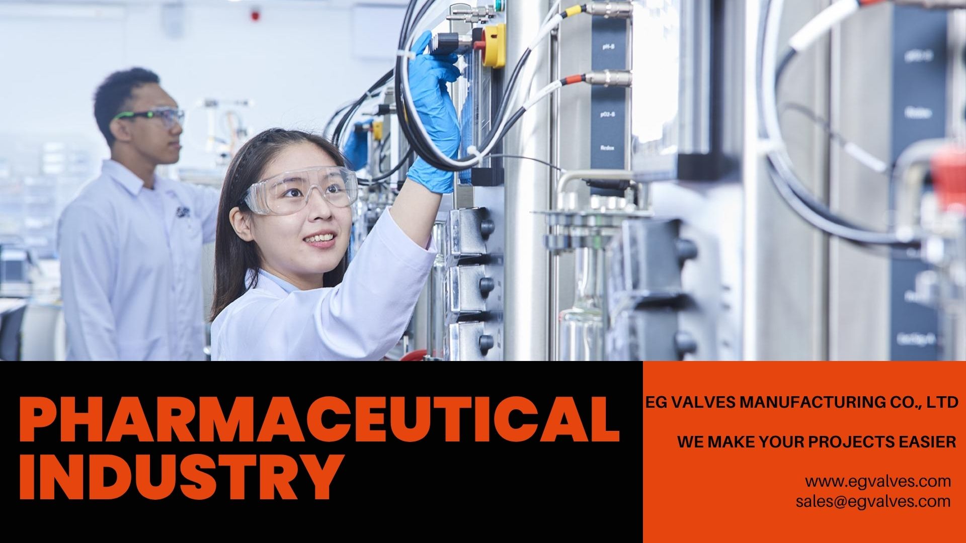 EG Valves industrial valve application in pharmaceutical industry clean room environment