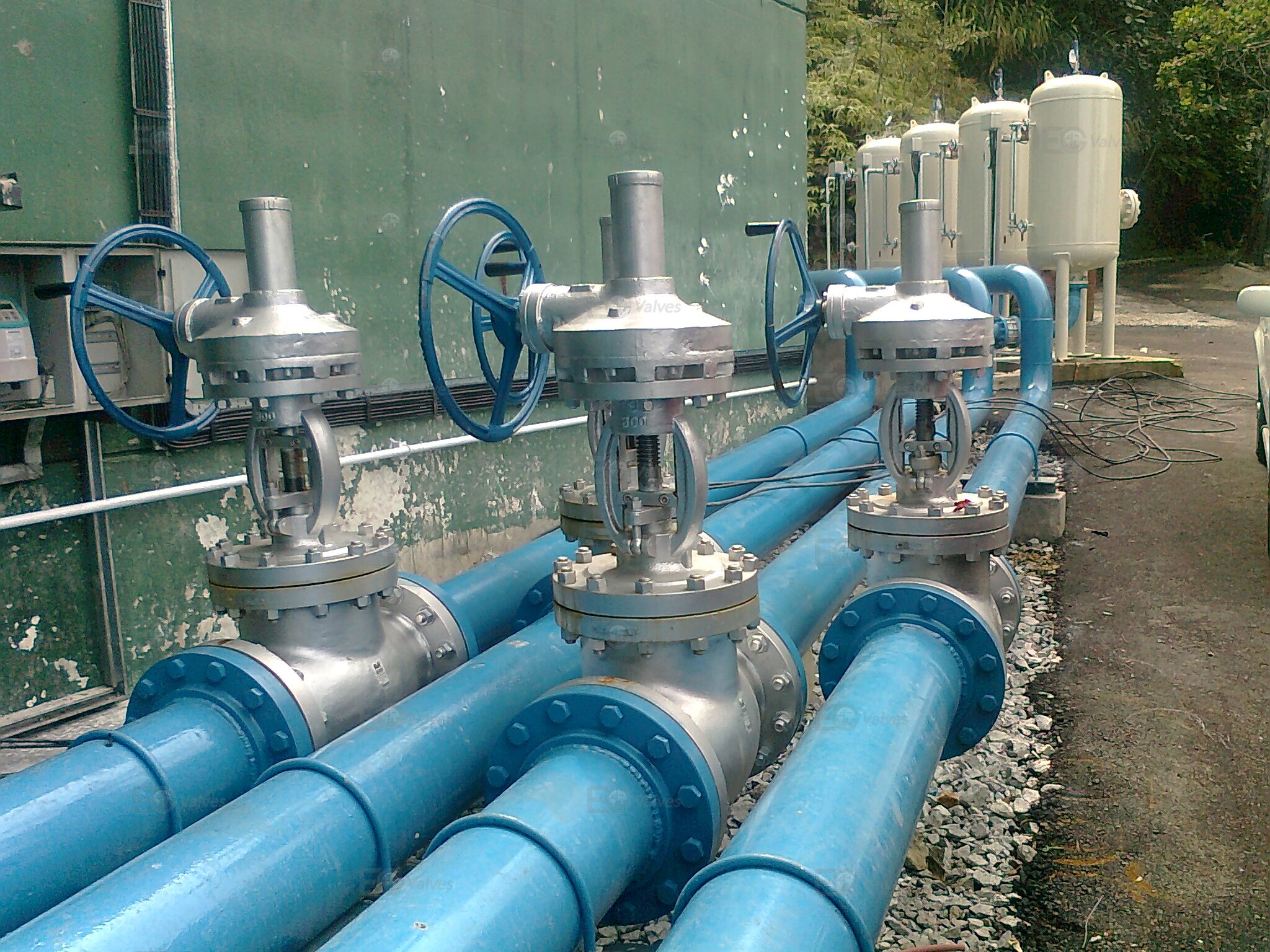 EG Valves Chemical Industry Case