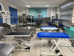 Pet Grooming Table Factory