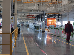 Custom Pet Grooming Equipment