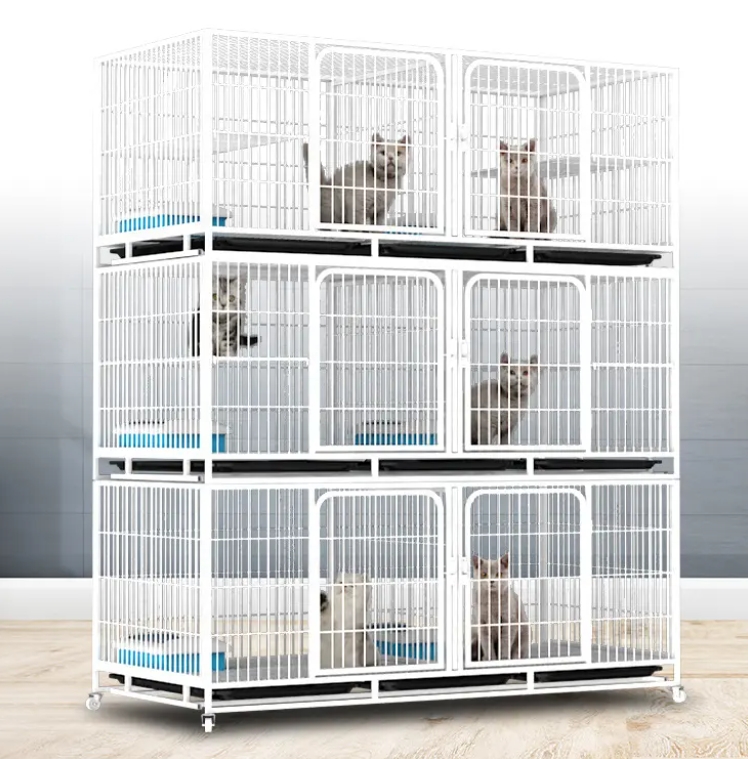 Cat boarding cage UP-BC-1 with metal frame and compartment structure