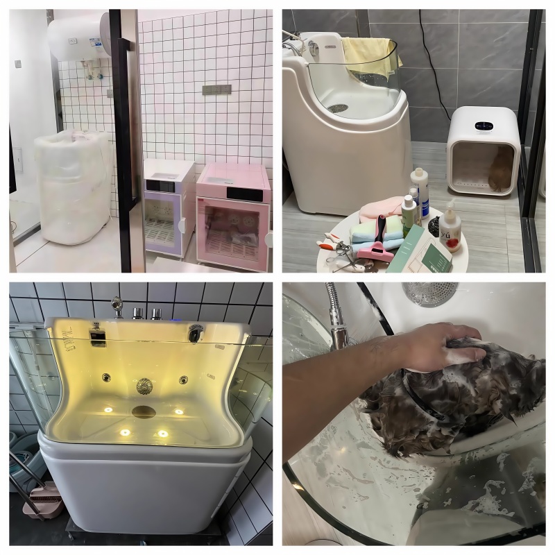 Pet grooming salon equipped with professional pet grooming equipment
