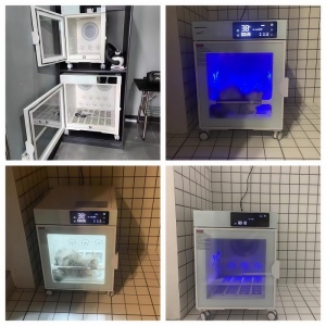 Pet Grooming Salon / Professional Pet Grooming Business