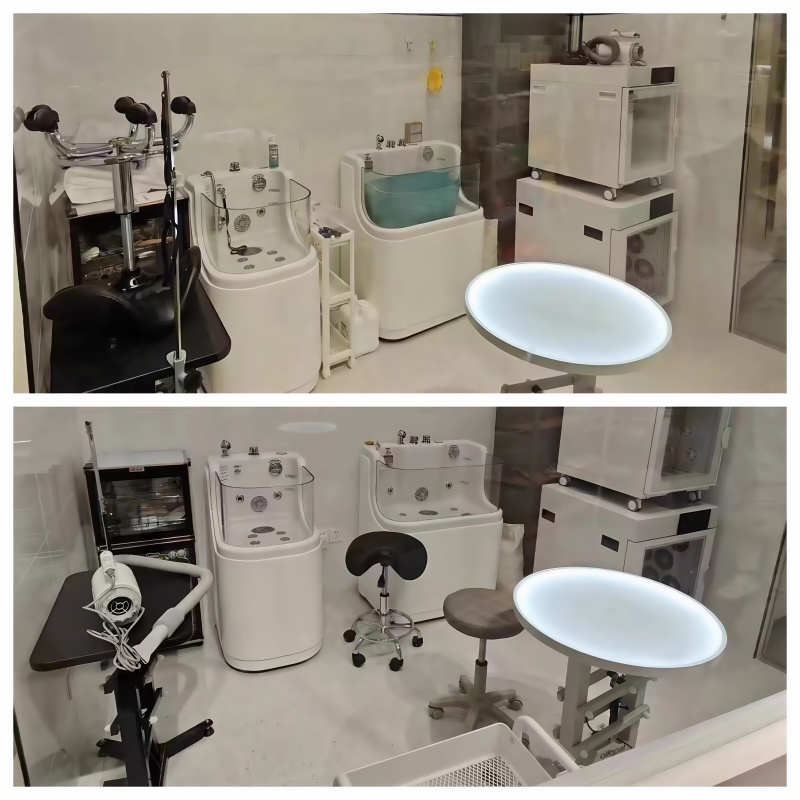 Professional Pet Grooming Salon Setup