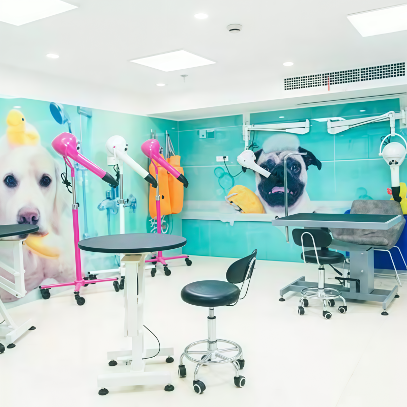 Veterinary clinic pet care environment
