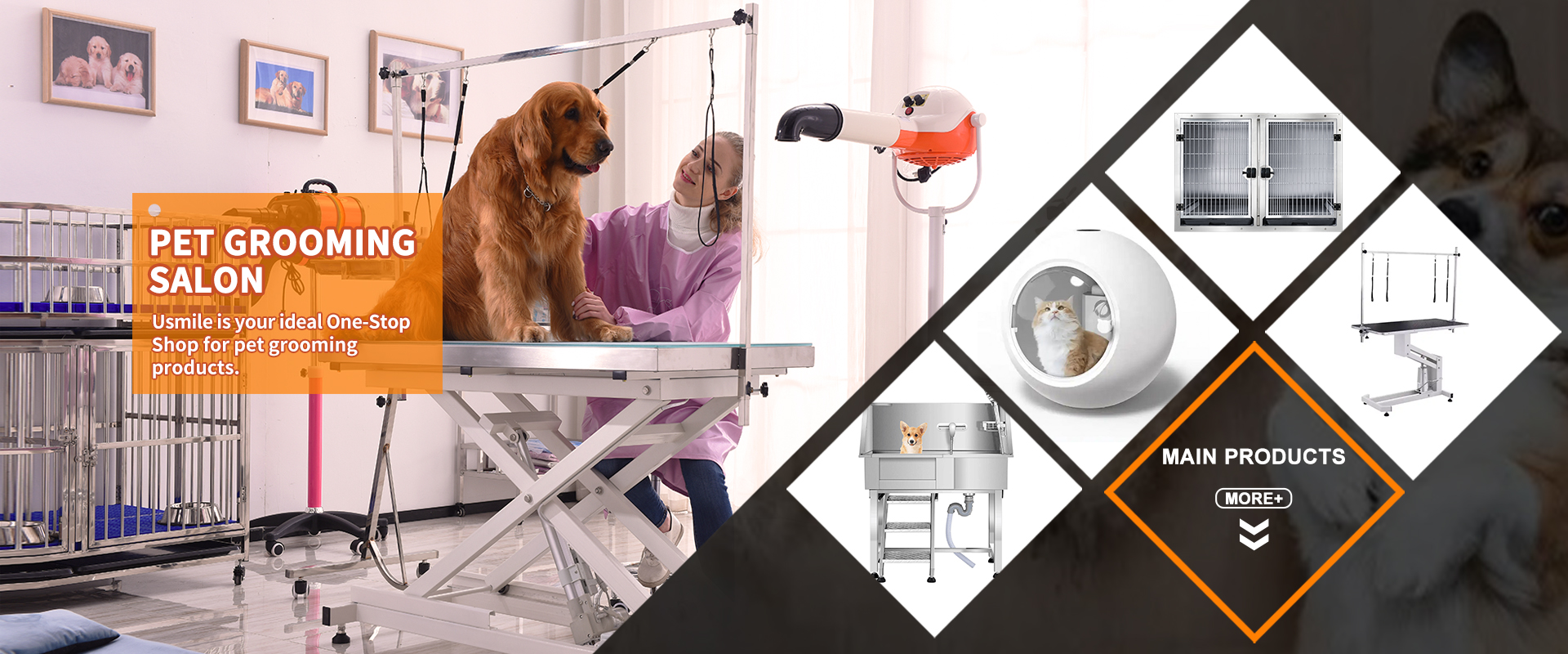 Professional pet grooming supplies and bathing equipment available for OEM and ODM orders
