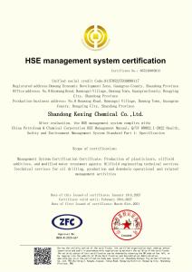 HSE Management System Certificate