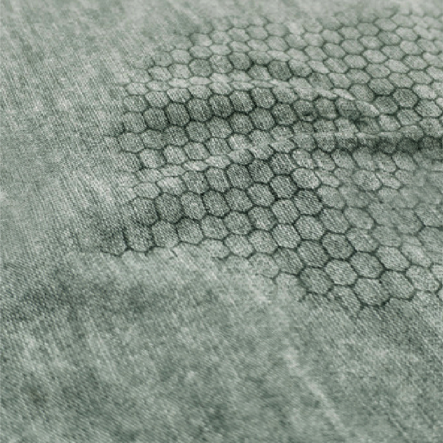 5% Healcell Alginate Fiber / Seaweed Fiber Elastic Jersey Anti-counterfeiting Non-yellowing [40s]