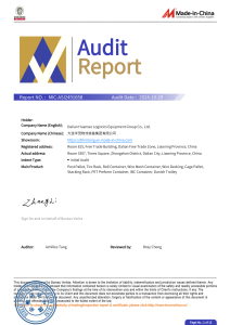 Made-in-China BV Audit Report