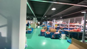 Manikin Factory