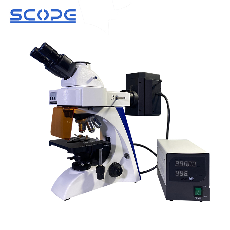 BK5000-FL trinocular fluorescence microscope with LED illumination
