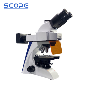 fluorescence microscope