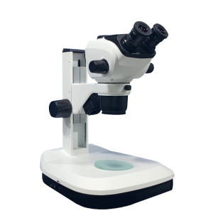 Stereo Microscope