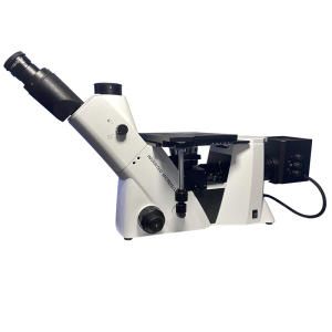 Inverted Microscope