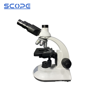 Upright Microscope