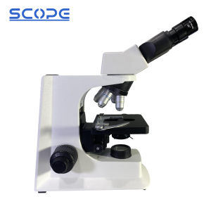 Binocular Microscope