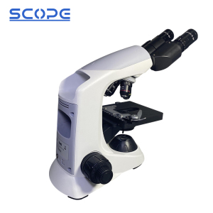 Bright Field Microscope
