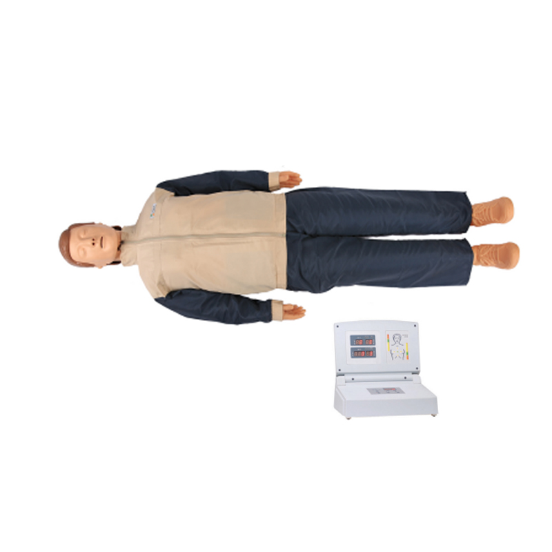 SC-CPR480 adult CPR manikin used for training standard verification