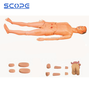 Nursing Manikin