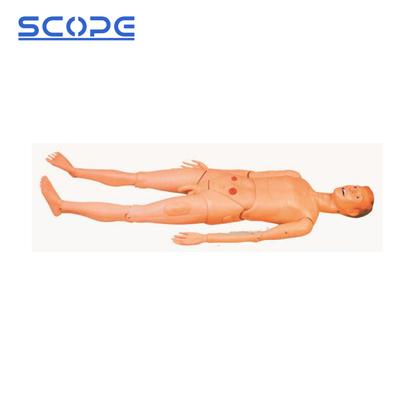 SC-H130A full function male nursing manikin used for catheterization practice