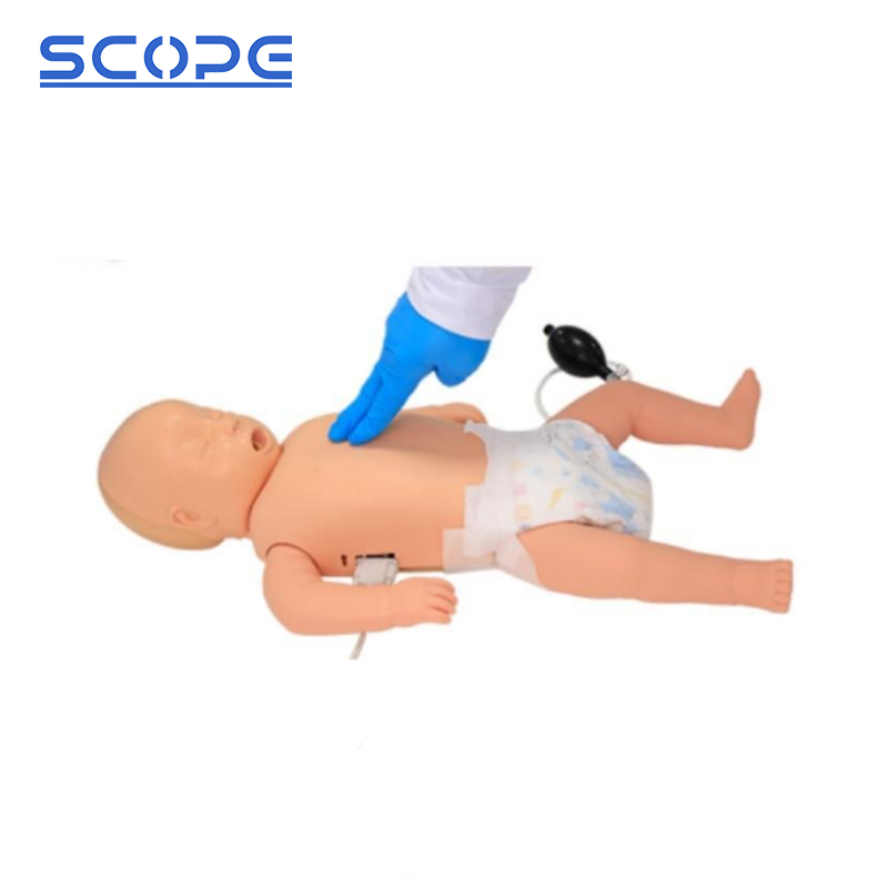 SC-CPR160 infant CPR model body and chest compression area