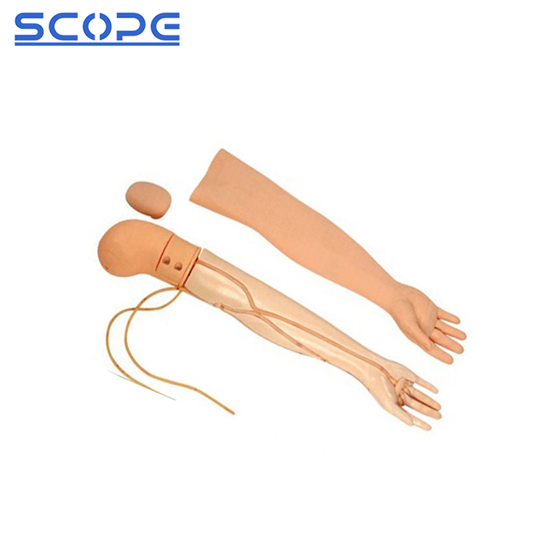 SC-HS3 arm venipuncture training model with changeable vein and skin for injection practice