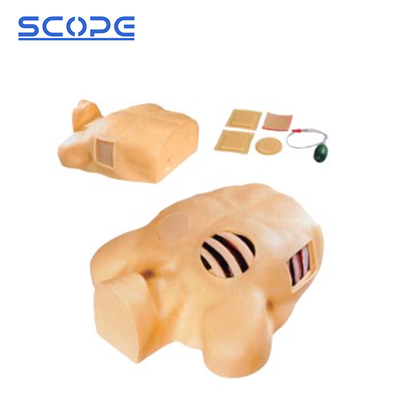 Left thorax of the SC-L66 clinical puncture manikin with drainage training sites