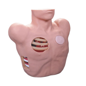 Puncture Manikin