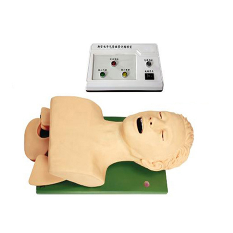 SC-J5S airway intubation model for first-aid airway management training