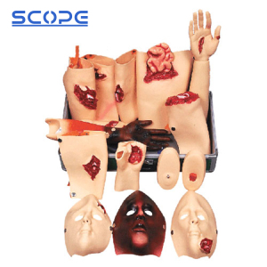 Medical Mannequin