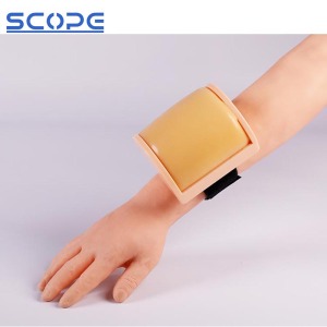 Medical Training Model