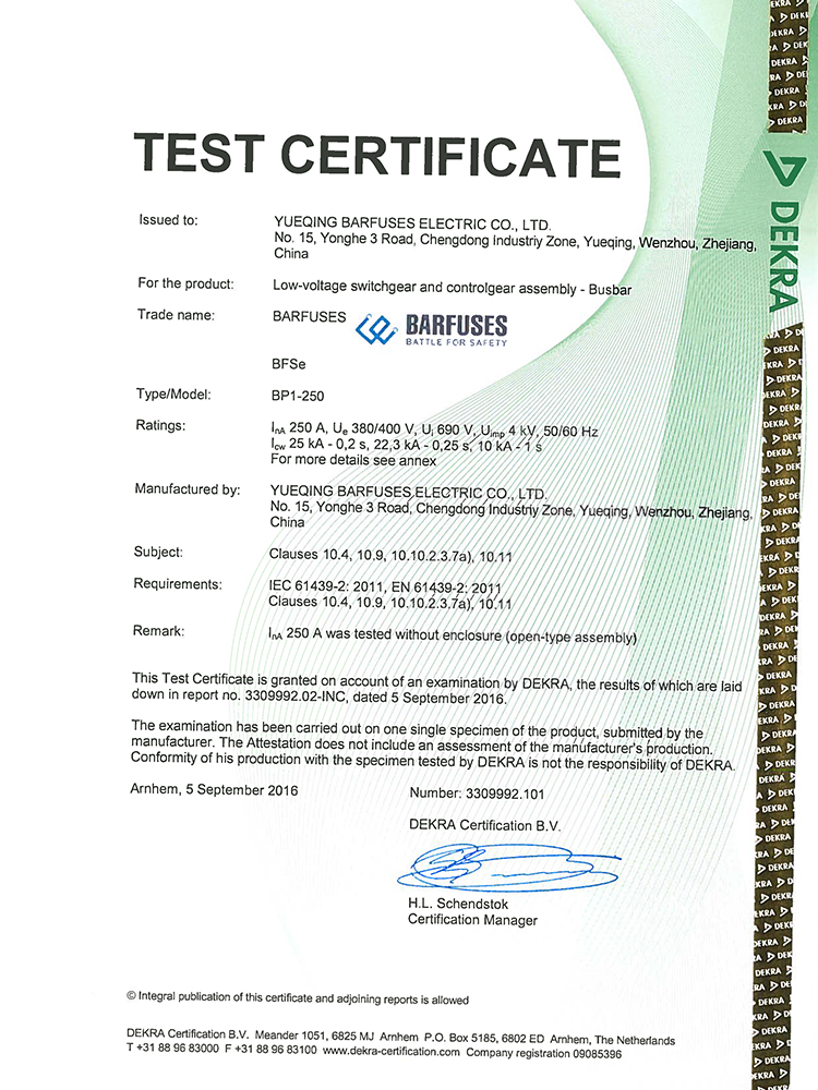 DEKRA certificate covering a 250A busbar rating