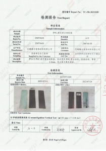 12S Vertical Combustion Test Report