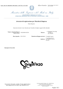 Italian Trademark Registration Certificate