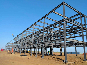 Multi-story Steel Structure Building