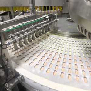 molded stick ice cream machine