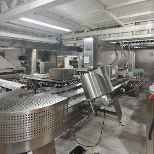 ice cream extrusion and hardening, ice cream extrusion and hardening line, ice cream extruder machine, ice cream extrusion machine