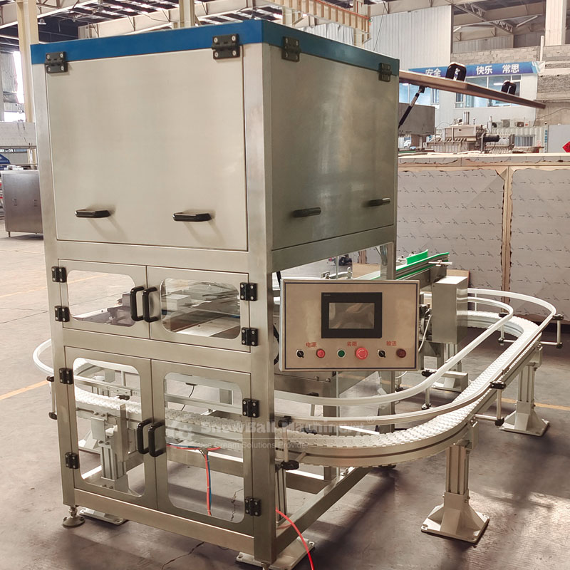 Ice cream cartoner for complete ice cream production line secondary packaging