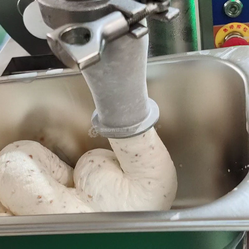 Start a new ice cream plant