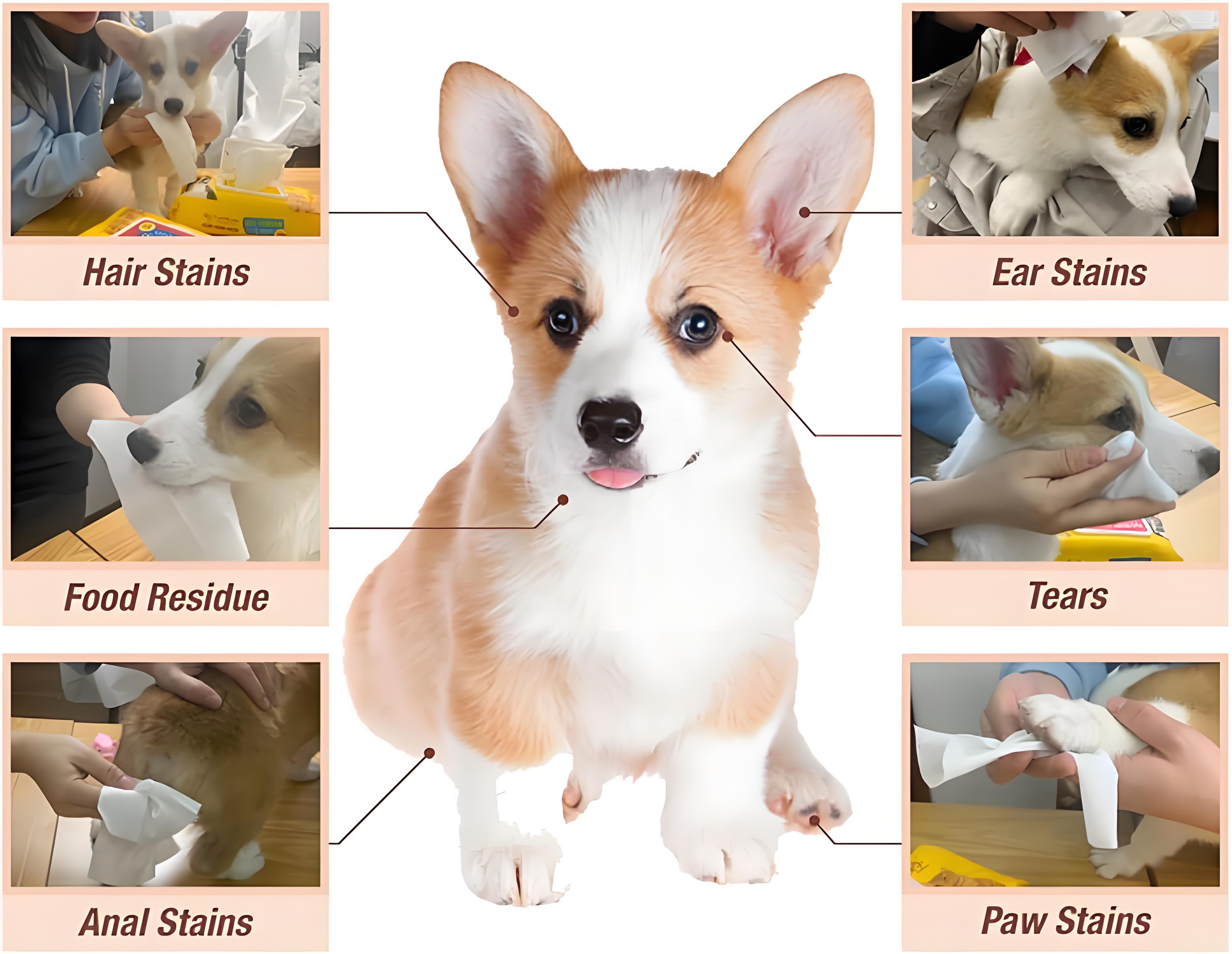 Pet wipes liquid usage for dogs and cats — pet grooming wipes solution