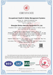 ISO (Occupational Health & Safety Management Systems)