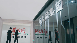 company