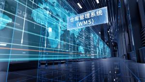 In-House Developed System — Warehouse Management System — Inventory Management (Illustration)
