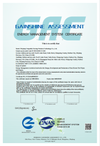ISO50001
