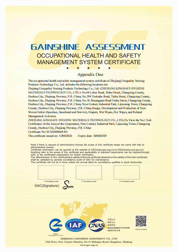 ISO 45001 occupational health and safety certification