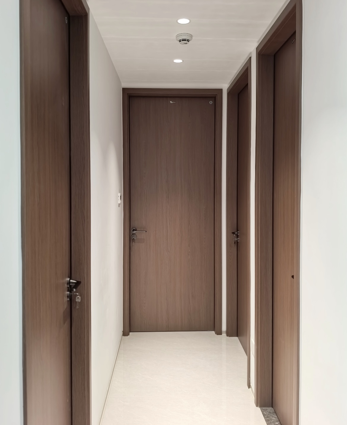 Minimalist 25mm Frame All-Aluminum Interior Door with Powder Coating
