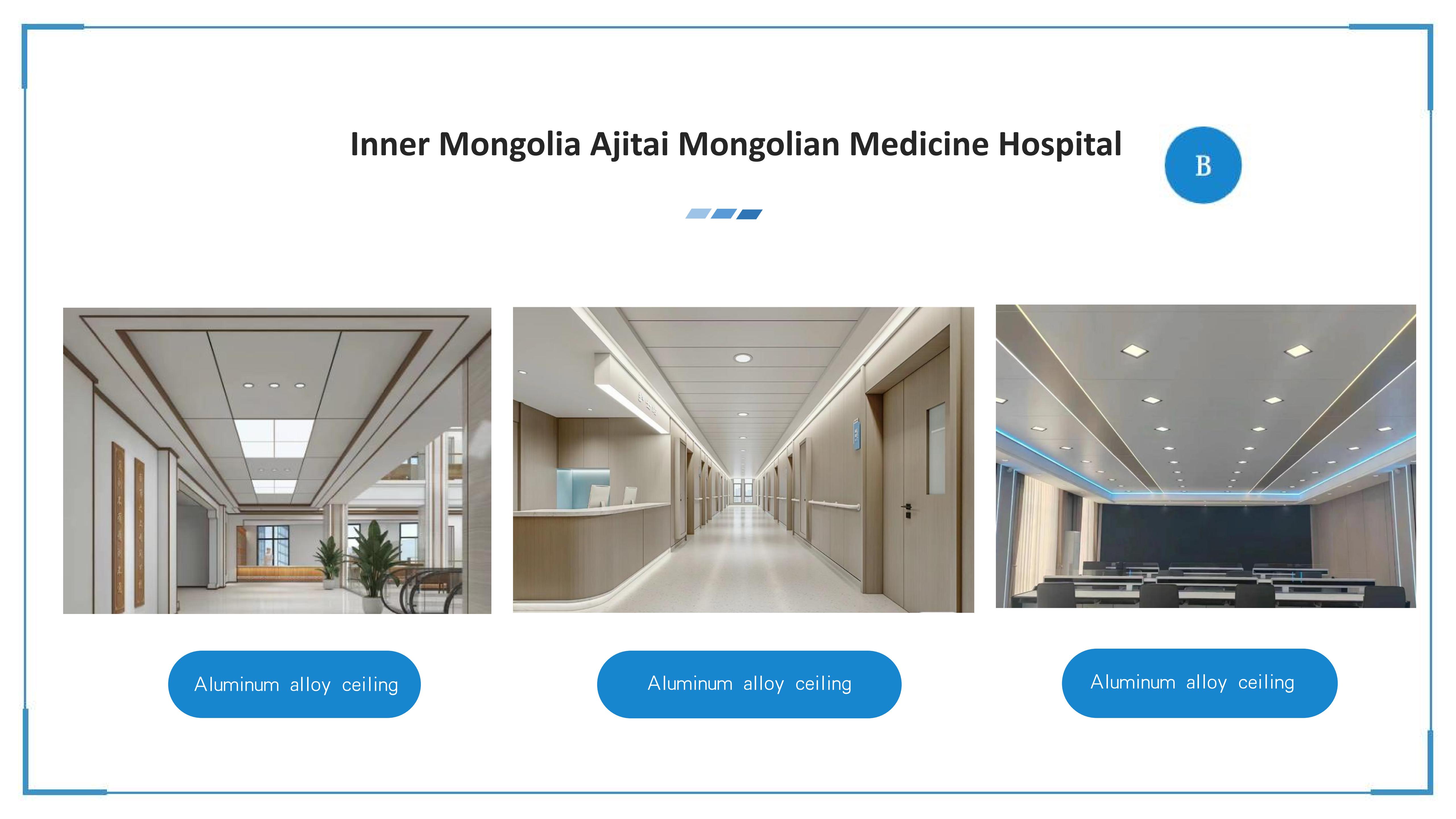 Aluminum honeycomb panel ceiling and wall panel finish effect