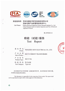 Type Test Report