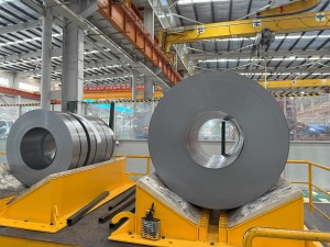 Magnelis Steel
