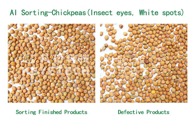AI sorting machine inspecting chickpeas for insect eyes and white spots